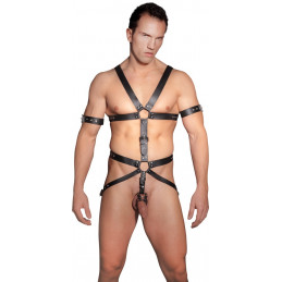 Harness