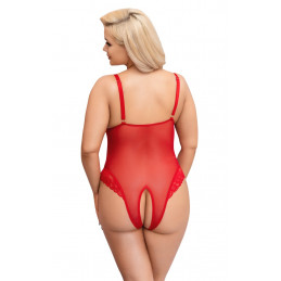 Body