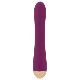 2 Function Vibrator