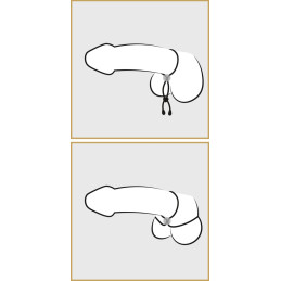 Bad Kitty Cock & Ball Loop