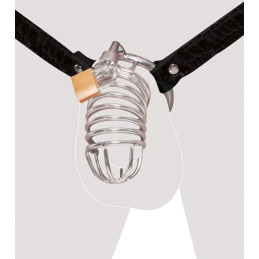 Extreme Chastity Belt