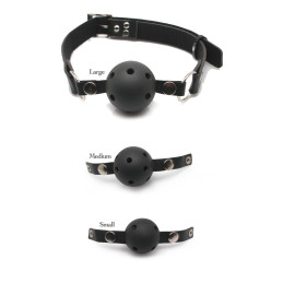 Ball Gag Training System