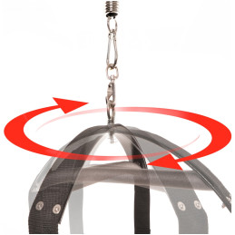 Spinning Fantasy Swing