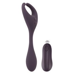 Remote Controlled Couple's Vibrator