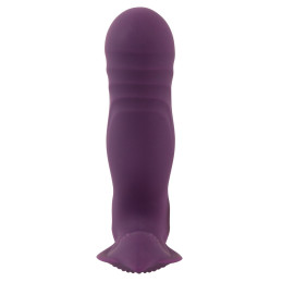 RC Shaking Panty Vibe