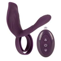 RC Couple‘s Vibrator 2