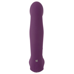 4 Function Vibrator