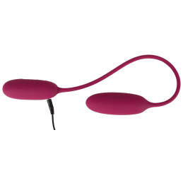 RC Shaking & Vibrating Love Egg Duo