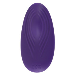 RC Panty Vibrator