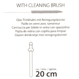 Glass Drinking Straw Willy