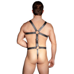 Harness