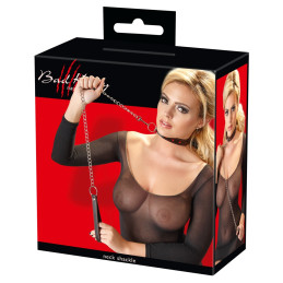 Halsfessel und Leine