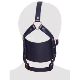 head harness with a gag
