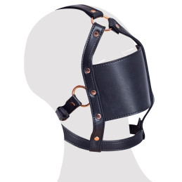 head harness with a gag