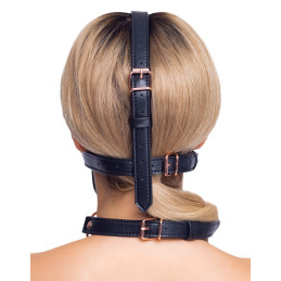 head harness with a gag