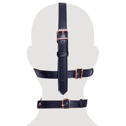 head harness with a gag
