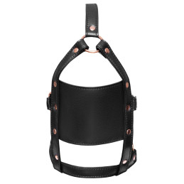head harness with a gag