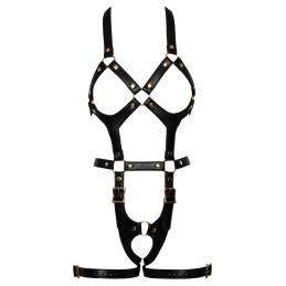 Harness