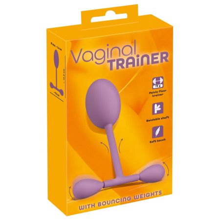 Vaginal Trainer with Bouncing Weights