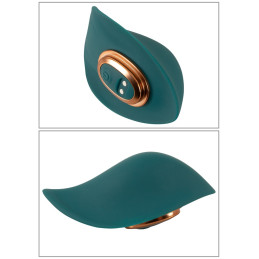 RC Mini Vibrator with 4 Attachments