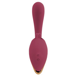 2 Function Vibrator