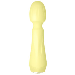 Mini Vibrator