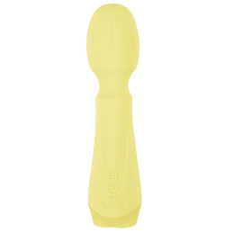 Mini Vibrator