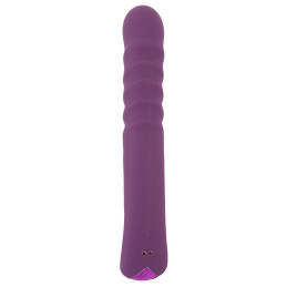 2 Function Rabbit Vibrator