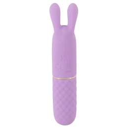 Mini Vibrator