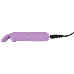 Mini Vibrator