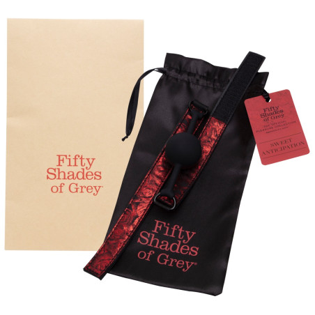 Sweet Anticipation Ball Gag