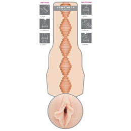 Brandi Love Heartthrob