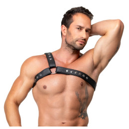 Brustharness aus Leder