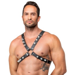 Brustharness aus Leder