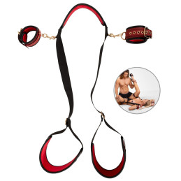 Neck-Thigh-Restraint-Set
