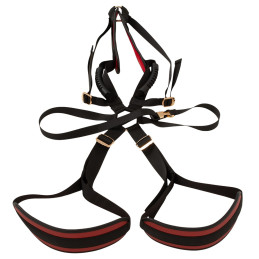 Body Swing