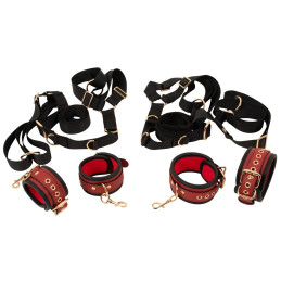 Bed/Door Restraint Set
