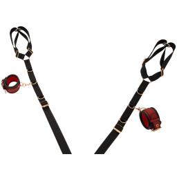 Bed/Door Restraint Set