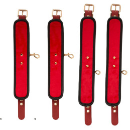 Bed/Door Restraint Set