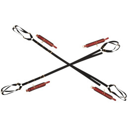 Bed/Door Restraint Set