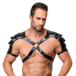 Harness aus Leder