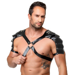 Harness aus Leder