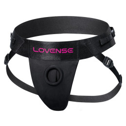 Harness