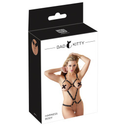 Harness