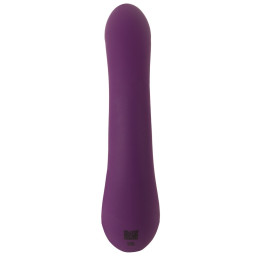 Vibrator With Nodding Function