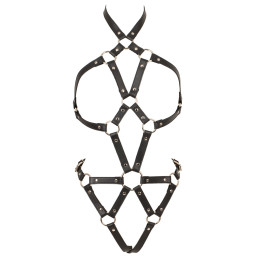 Harness