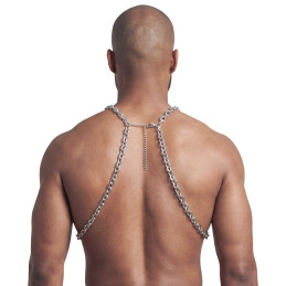 Harness